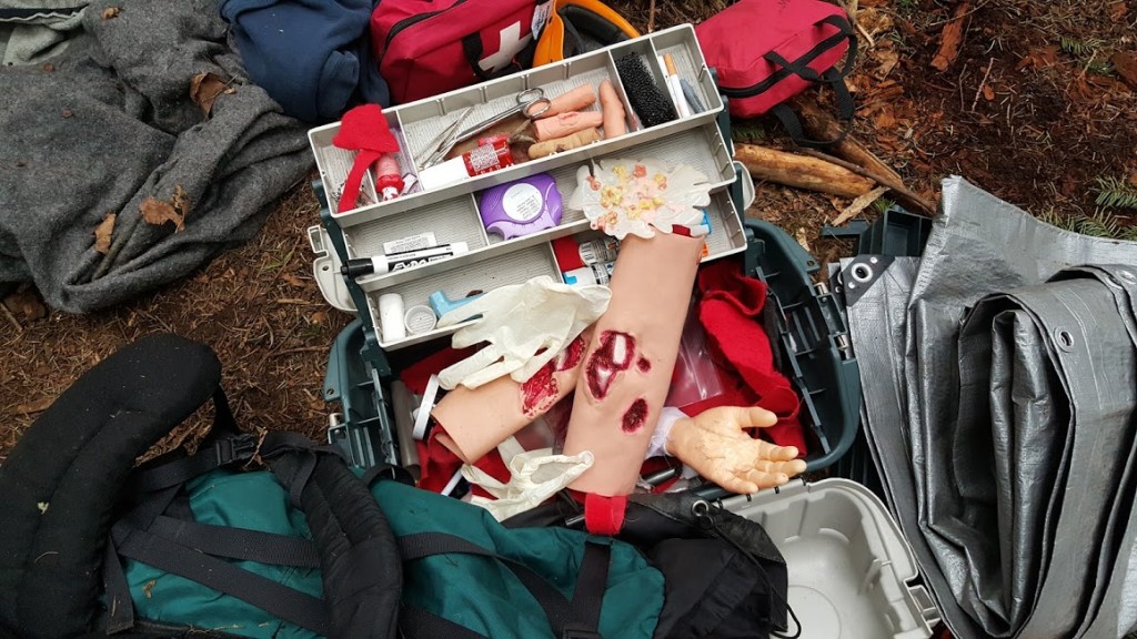 5 Reasons to Take Wilderness First Aid