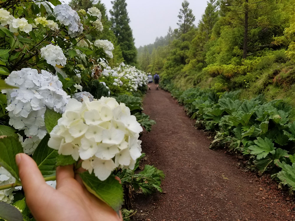 solo female travel azores