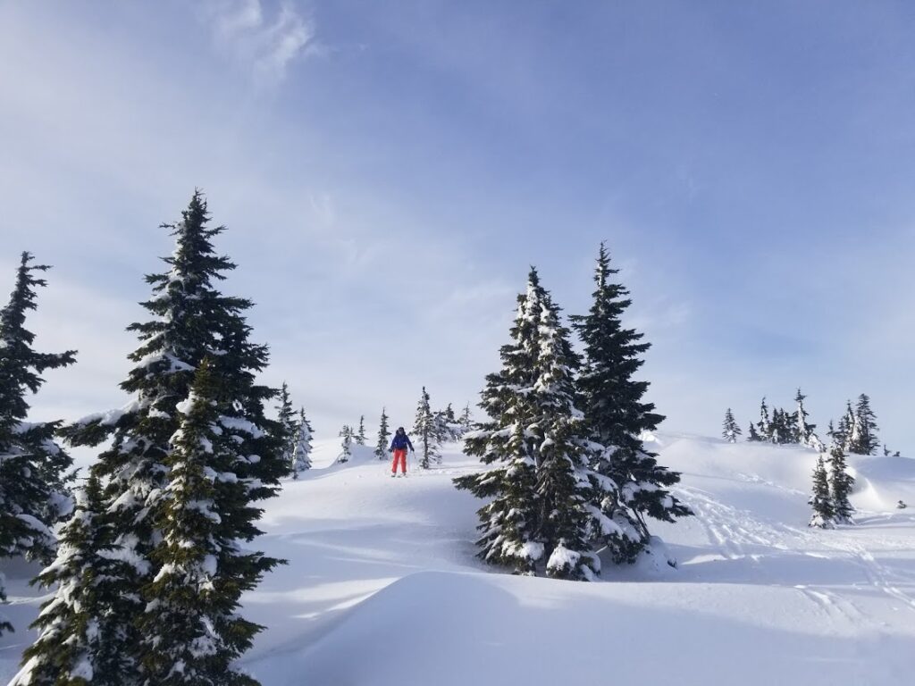 Getting started backcountry skiing on Vancouver Island – We Belong Outside